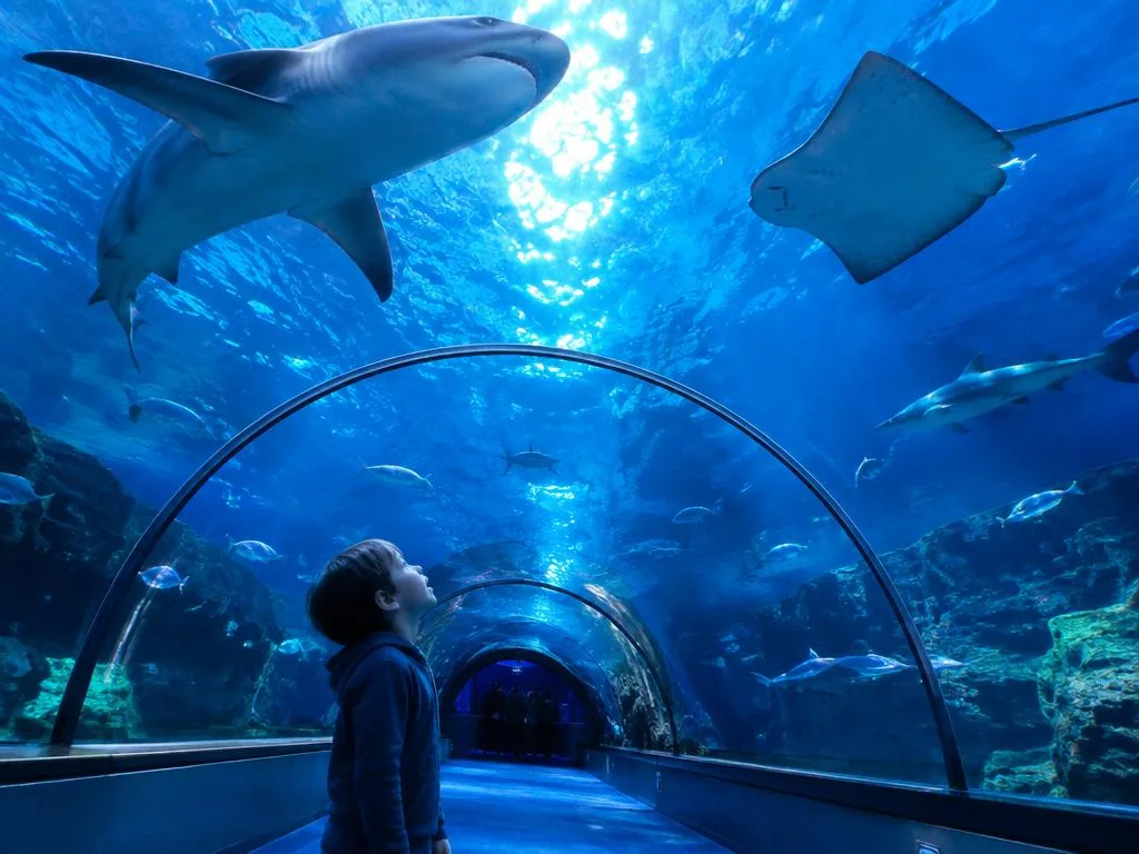 Ocean Tunnel Aquarium